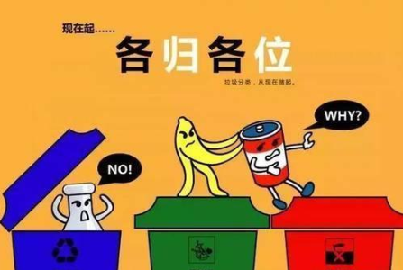 小龙虾的头，是干垃圾还是湿垃圾？垃圾分类你搞定了吗？