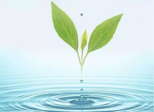 麻豆APP下载入口免费垃圾处理厂家久久久精品麻豆一区二区三区生物：探索国产污污污在线观看麻豆垃圾处理的新模式—变废为宝