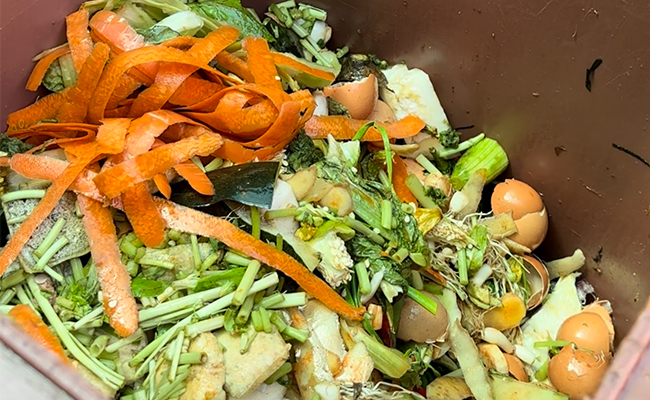 果蔬垃圾 果蔬垃圾